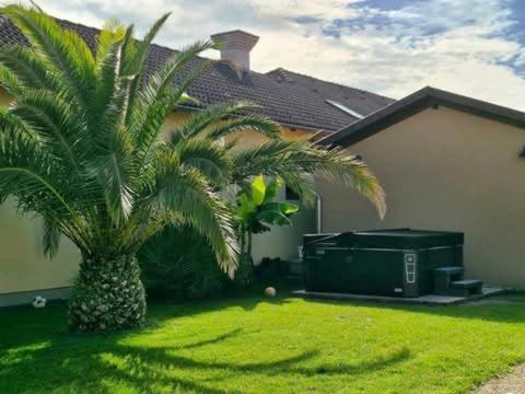 Dr Becsey Luxury Apartman بيكيسكسابا المظهر الخارجي الصورة